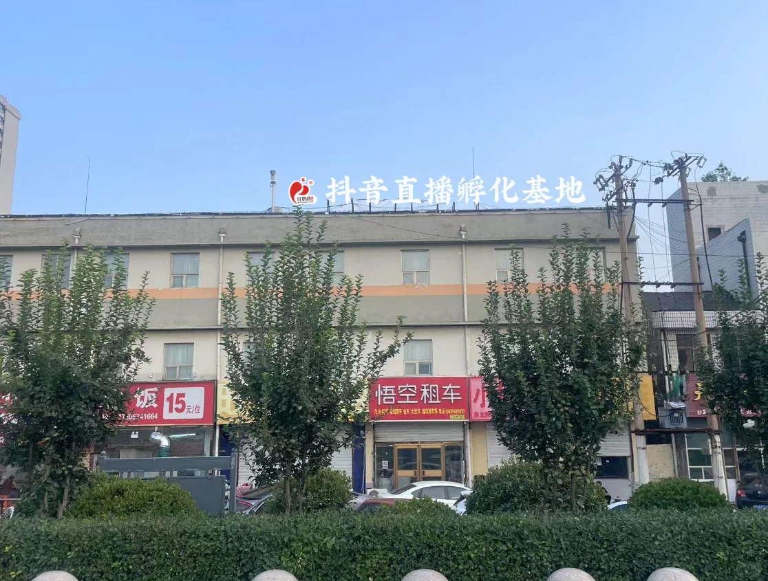全网唯一主播招募！直播见～