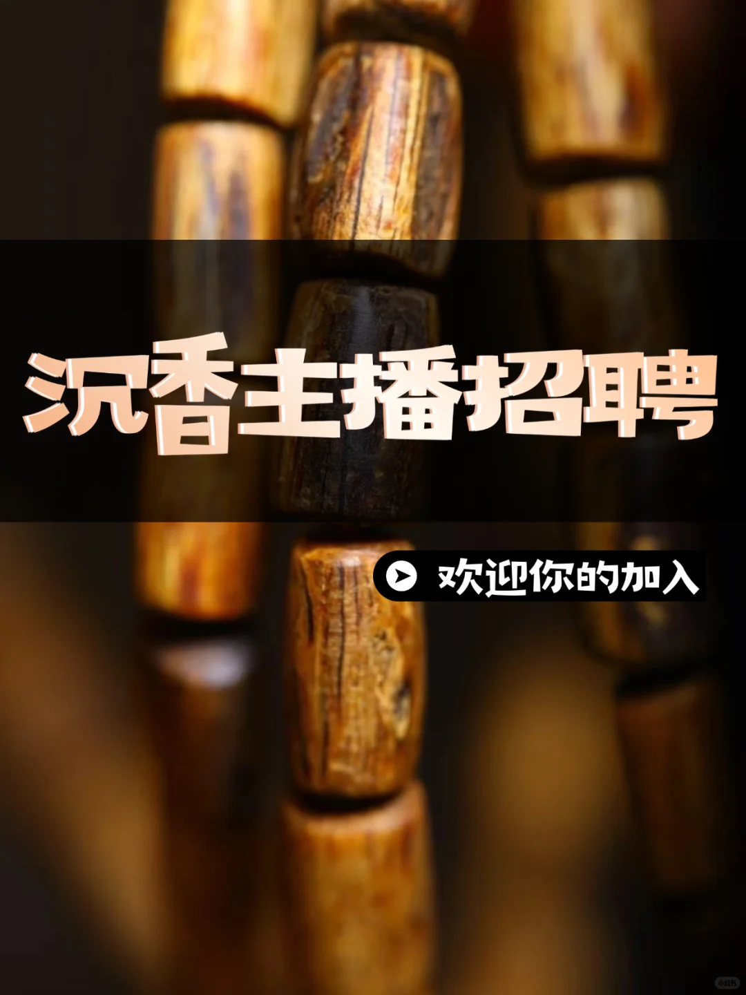 开始招募沉香主播啦～