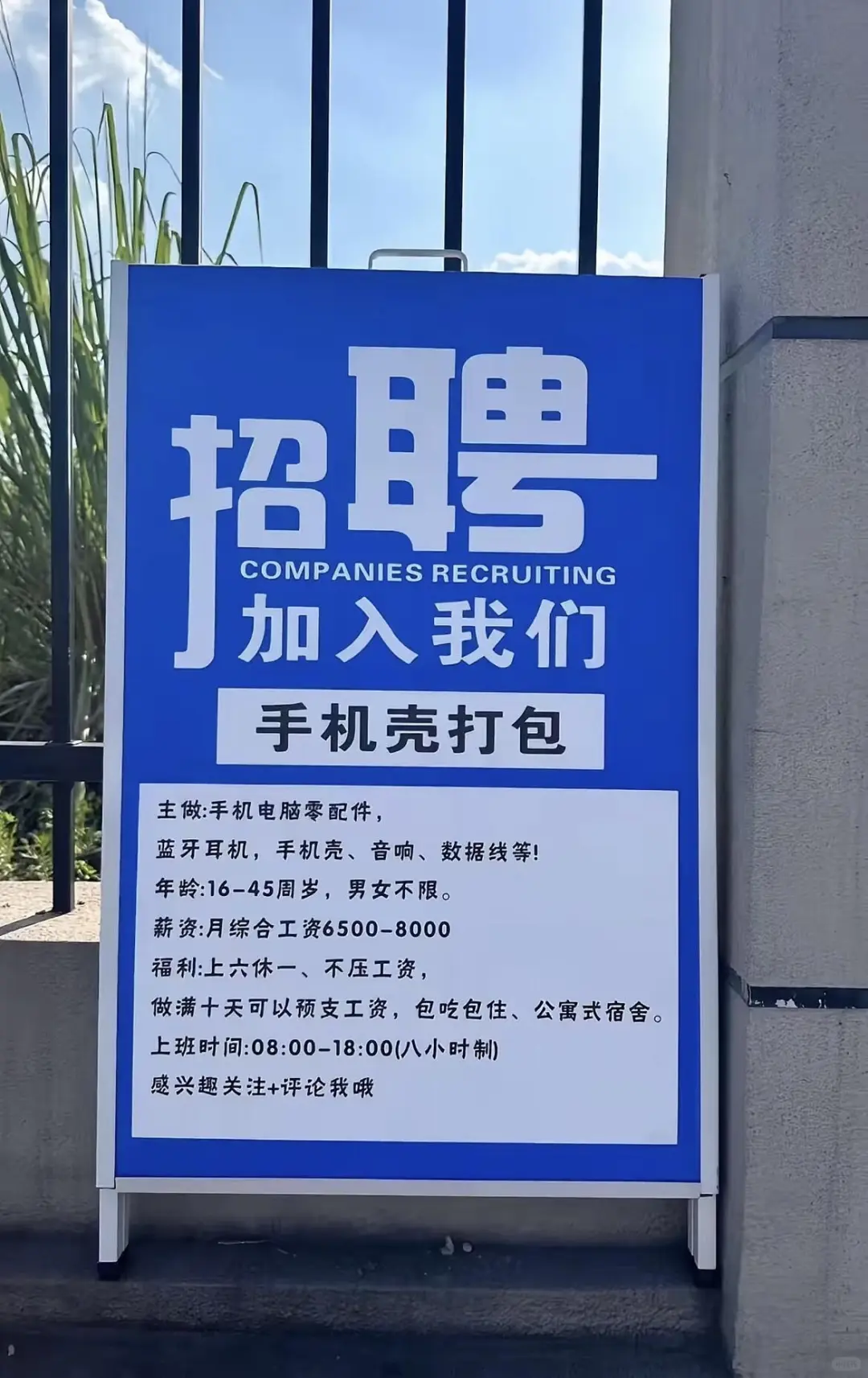 手机壳打包招人!