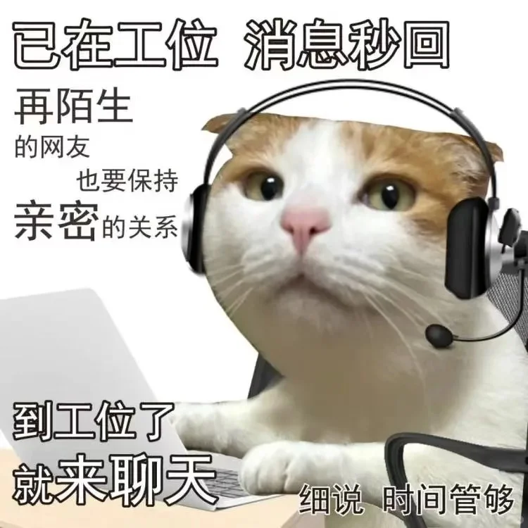 00后小小的我勇闯传媒公司招主播