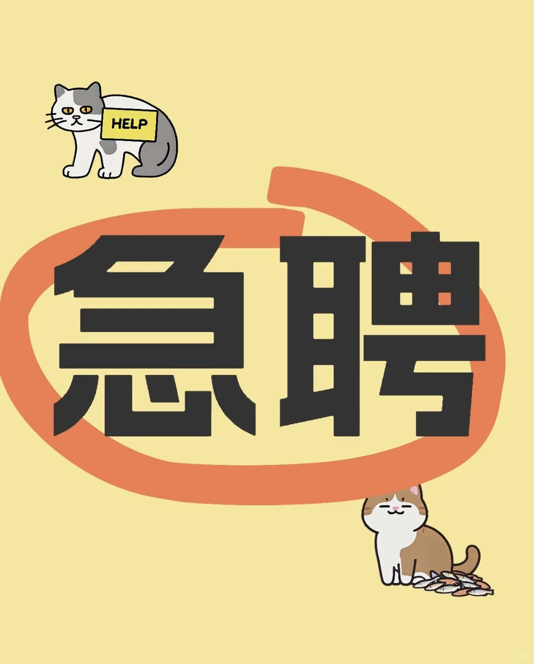 #珠海#中山#摄影师