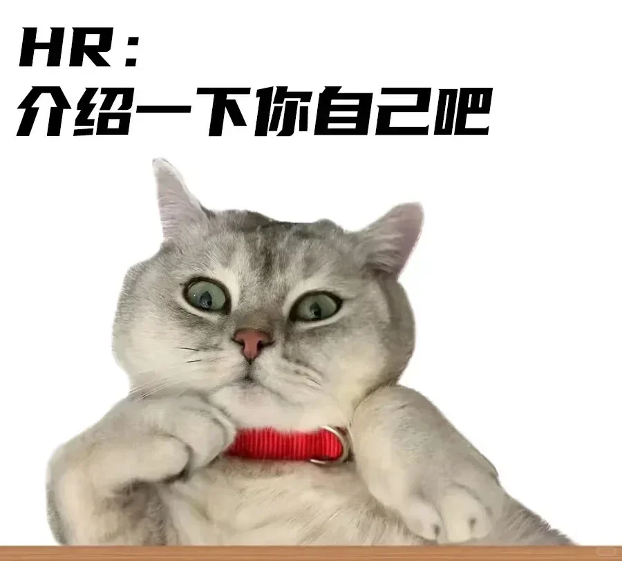 招聘一名资深人事专员❗❗❗❗❗
