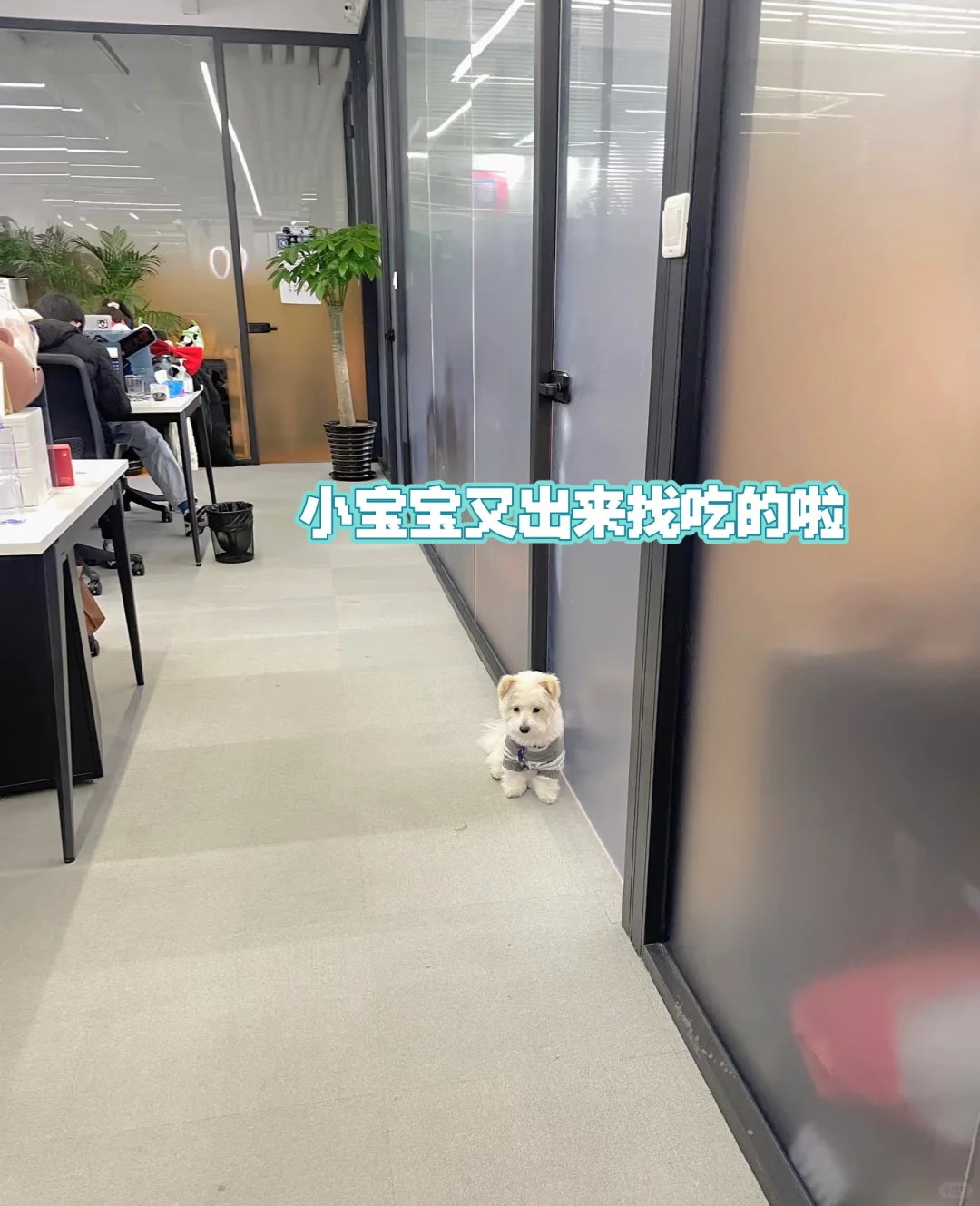开心一天赚一天?