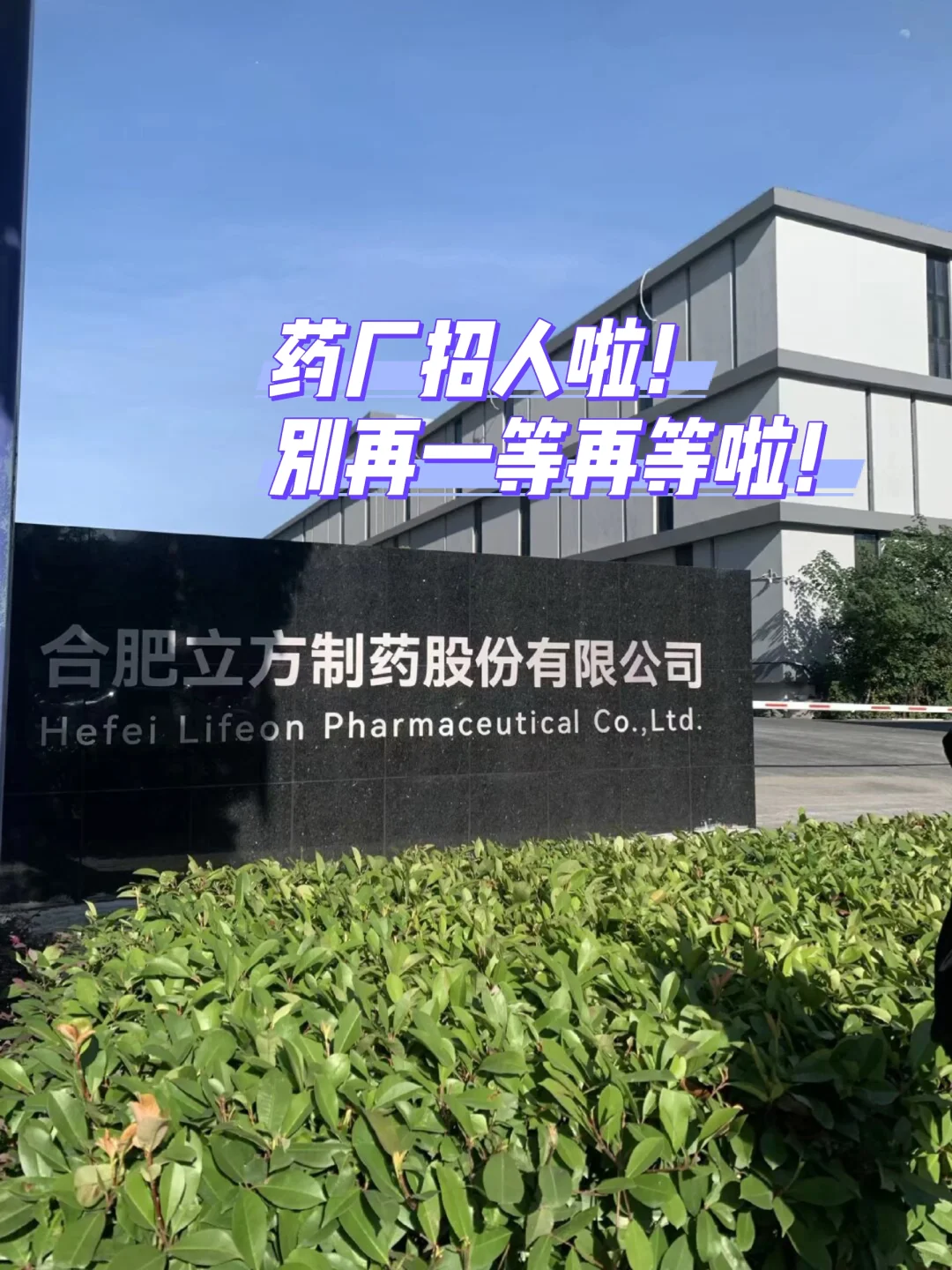 找工作你总说一等再等，现在药厂开始招聘啦