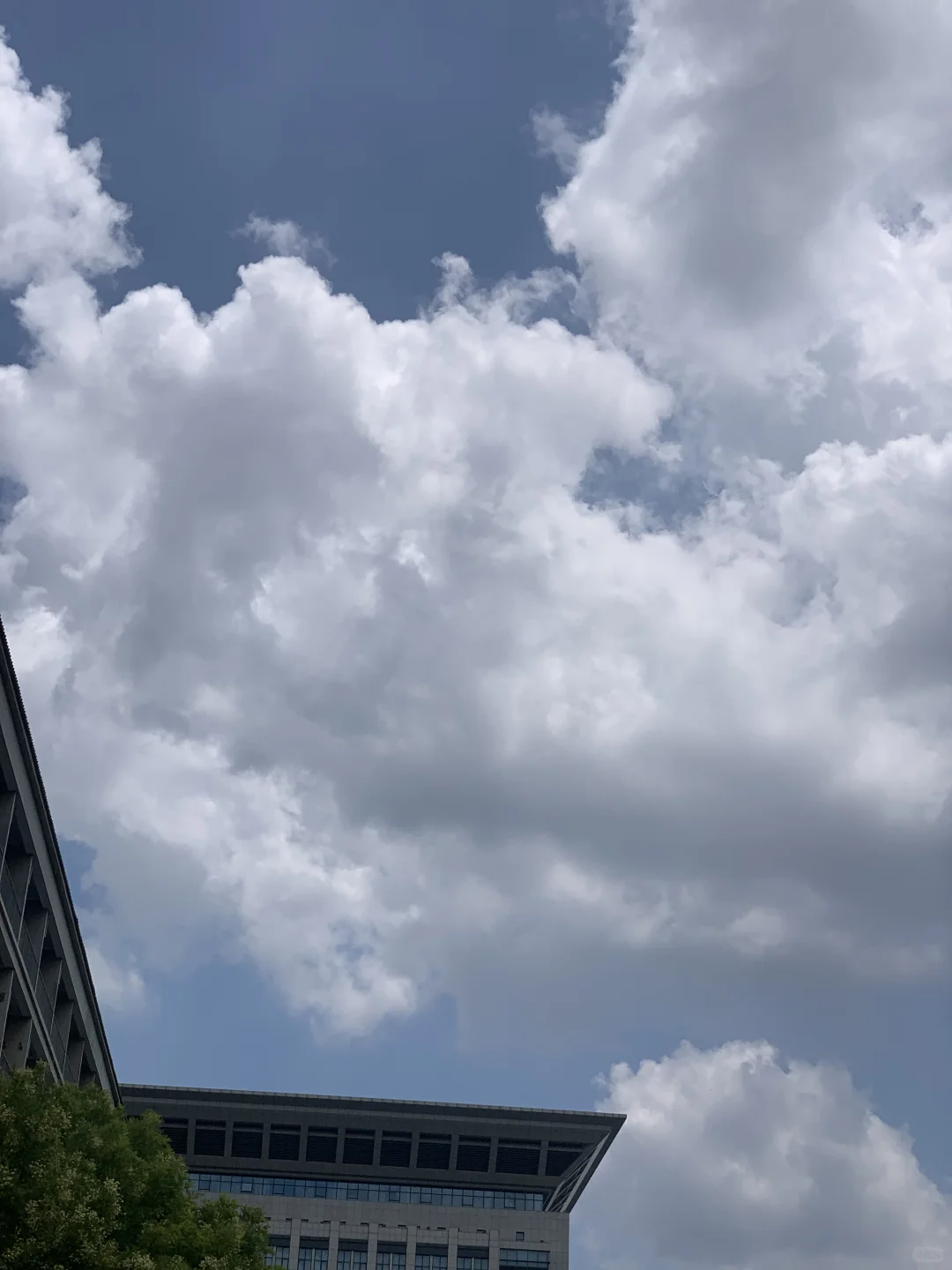 ?大学生专属！课余时间做主播赚零花?