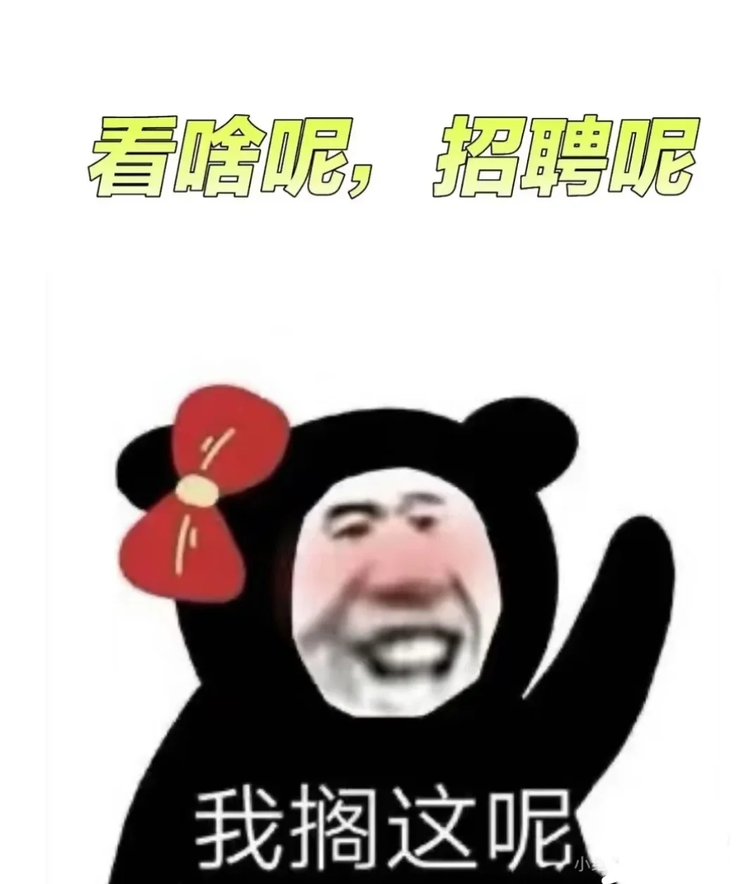 看啥呢,招聘呢