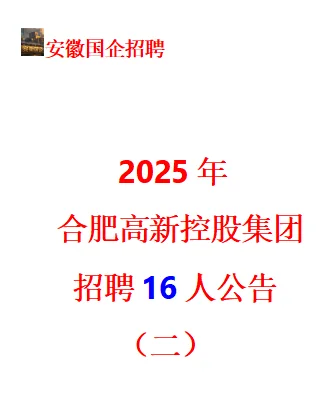 2025年合肥高新控股集团招聘16人公告（二）