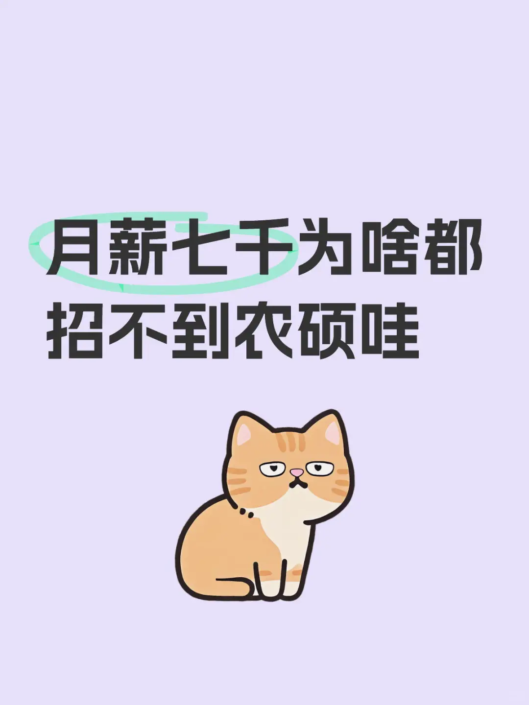 前司2025年招聘2名农硕全放弃入职了