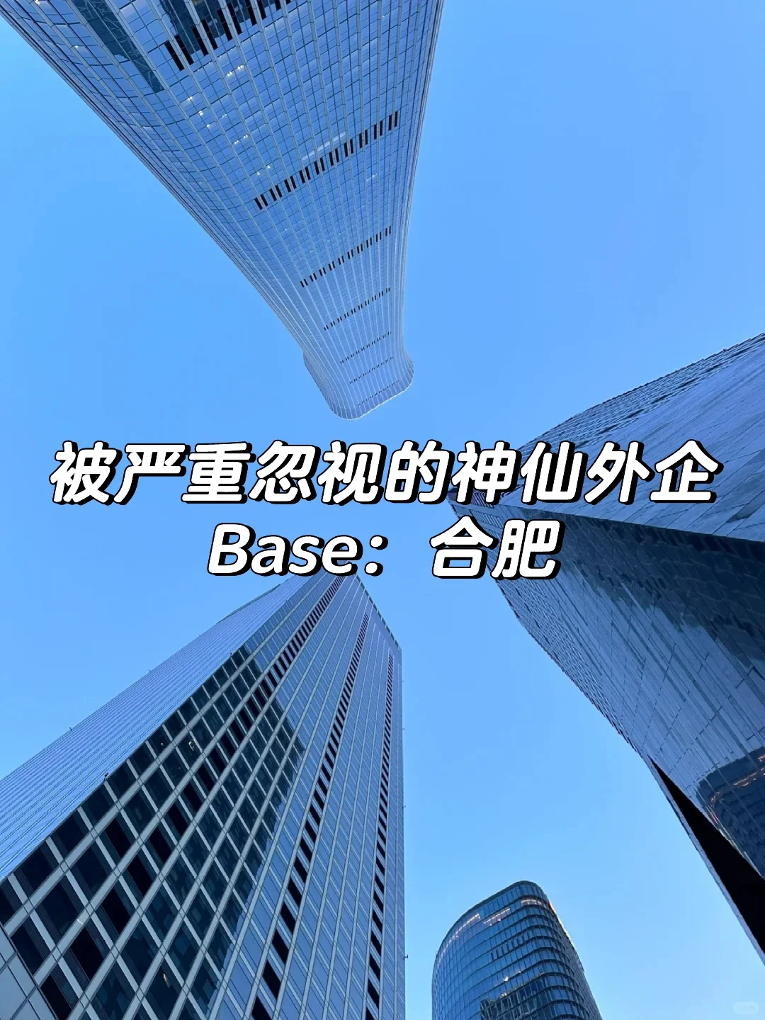 被严重忽视的神仙外企 Base：合肥