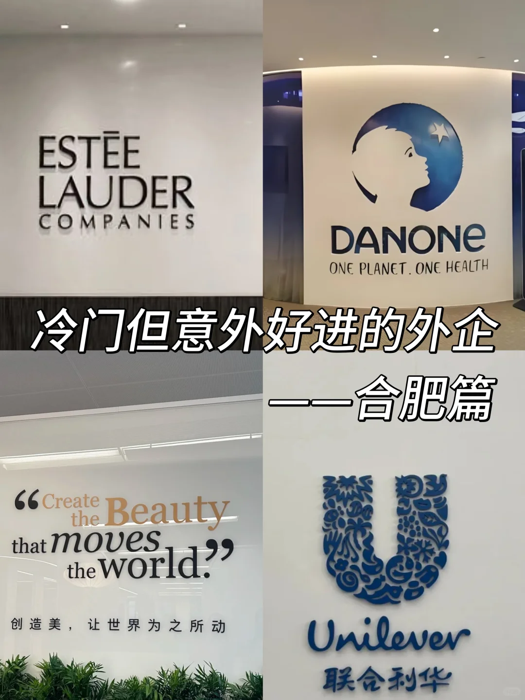 冷门但意外好进的外企——合肥篇