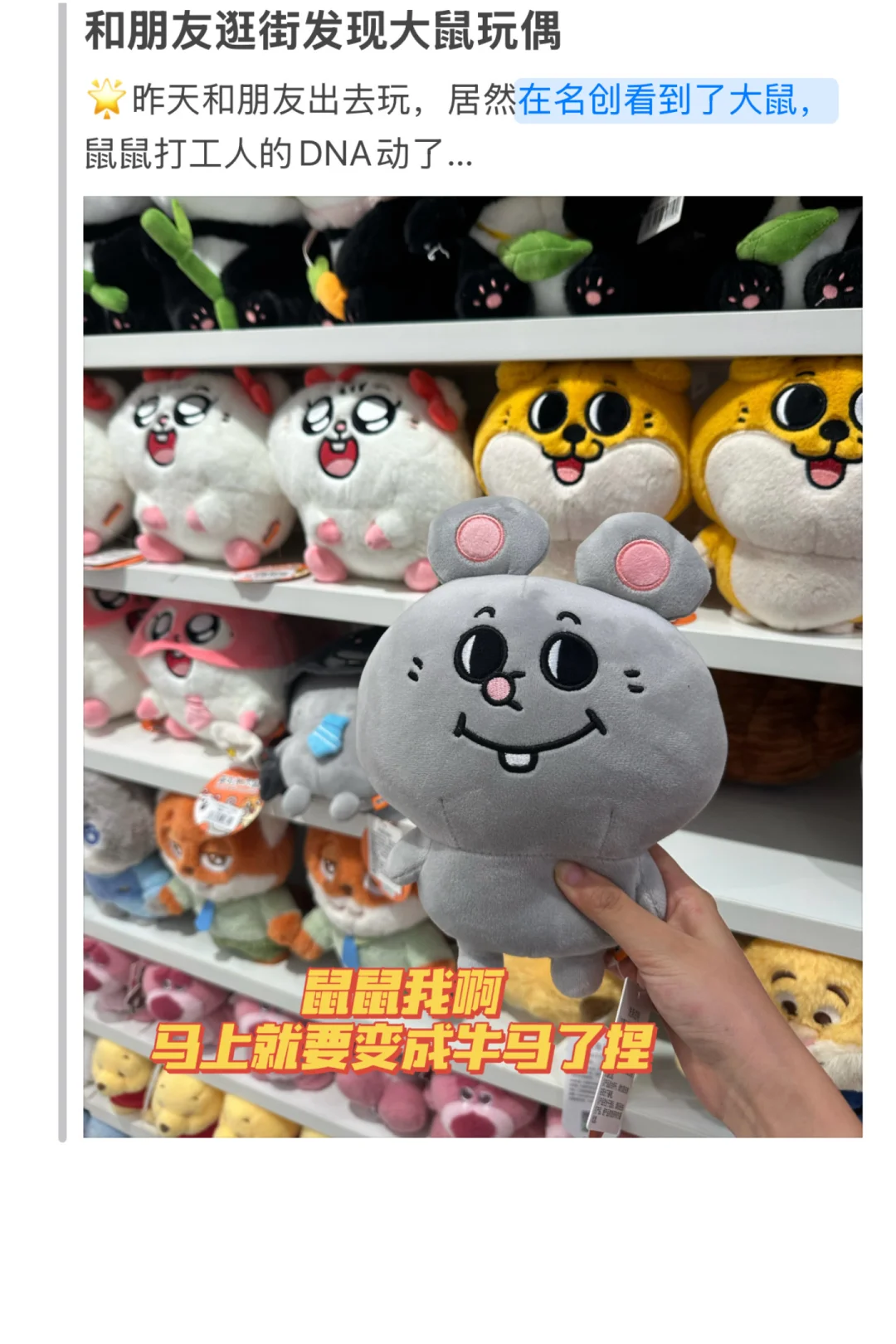 0622今天投点什么|你不会找不到工作的❗️