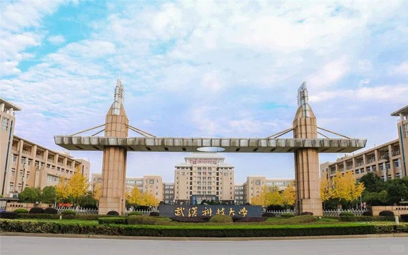 武汉科技大学招聘15人❗待遇很好
