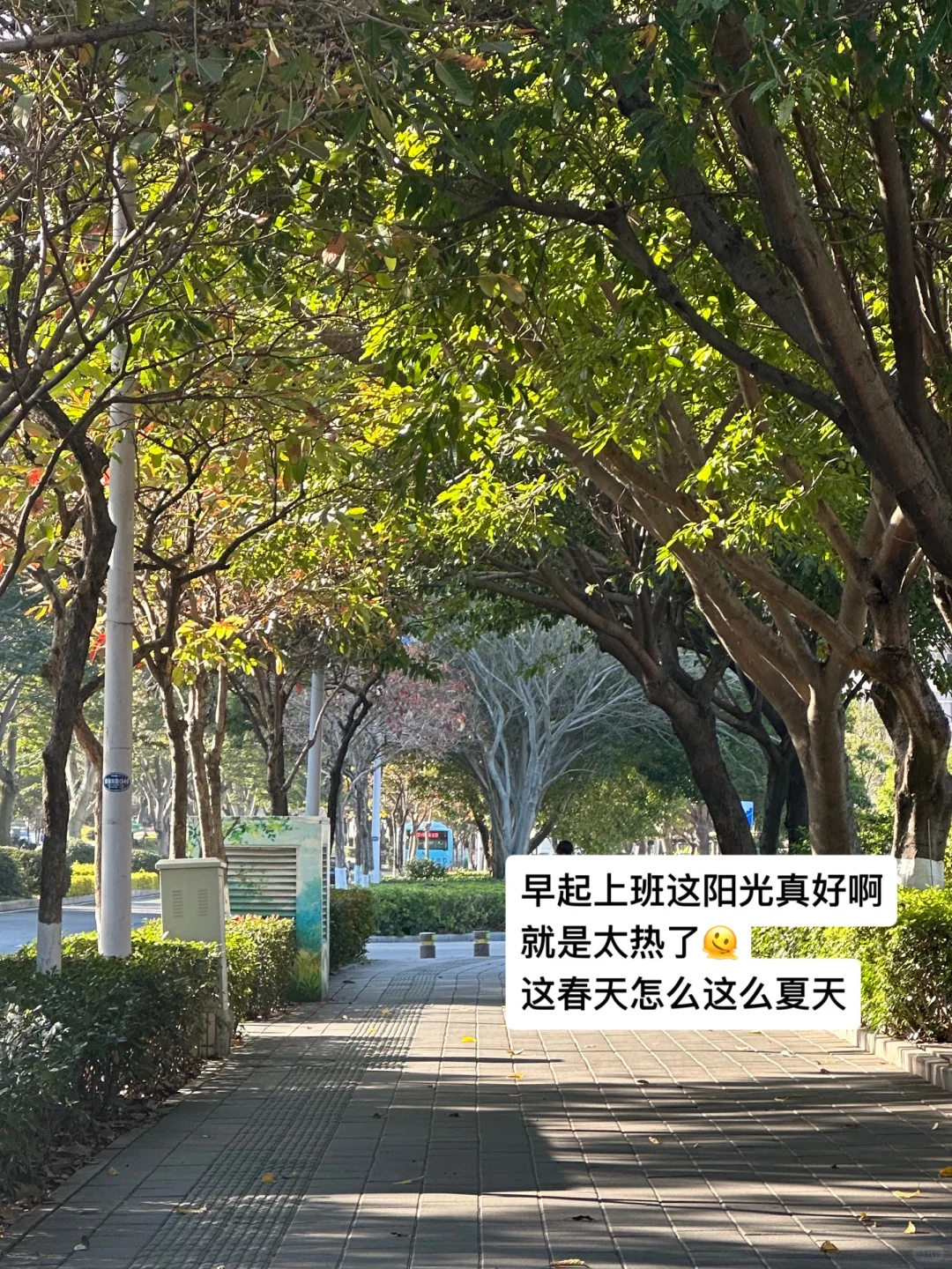 小红书运营?我的一天工作是怎样的?