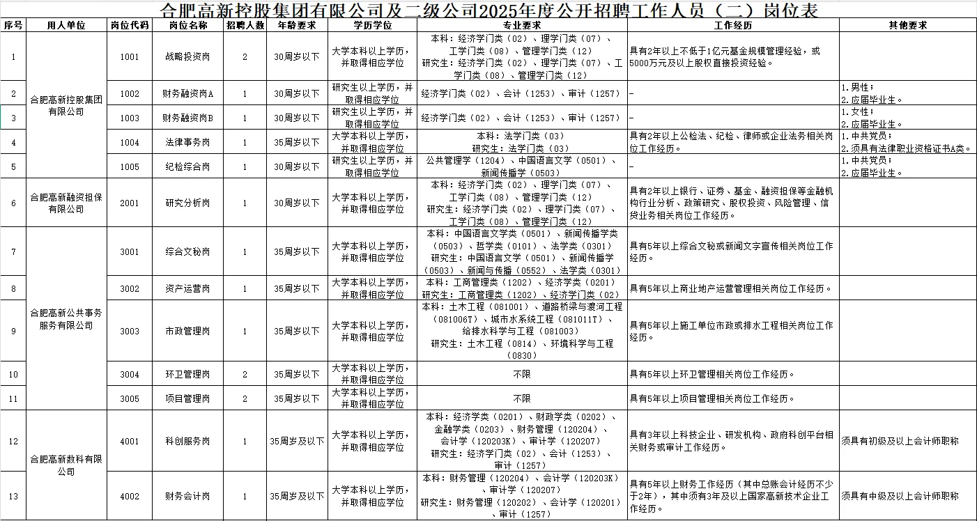 2025年合肥高新控股集团招聘16人公告（二）