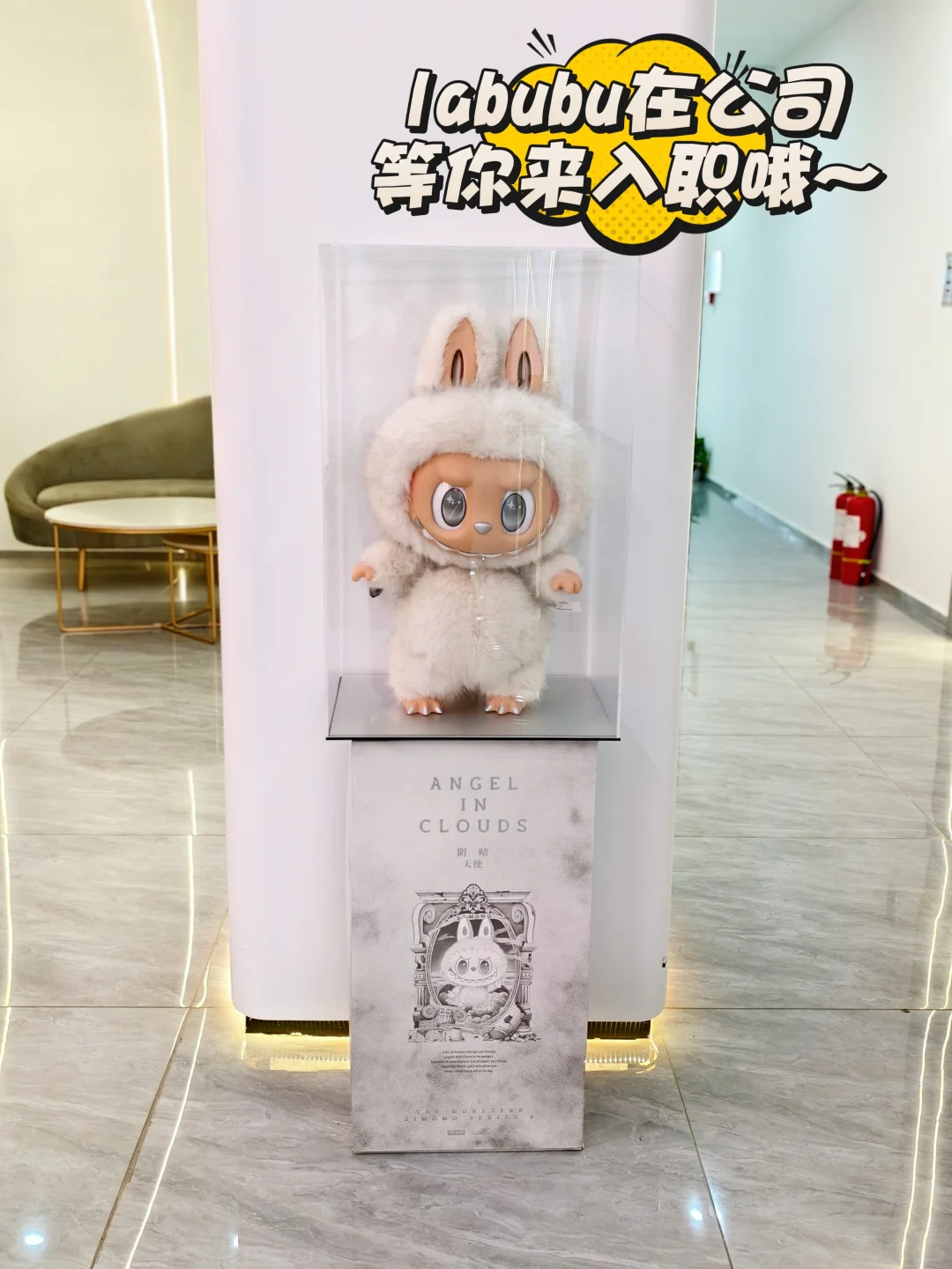 长沙的主包小姐姐看过来~