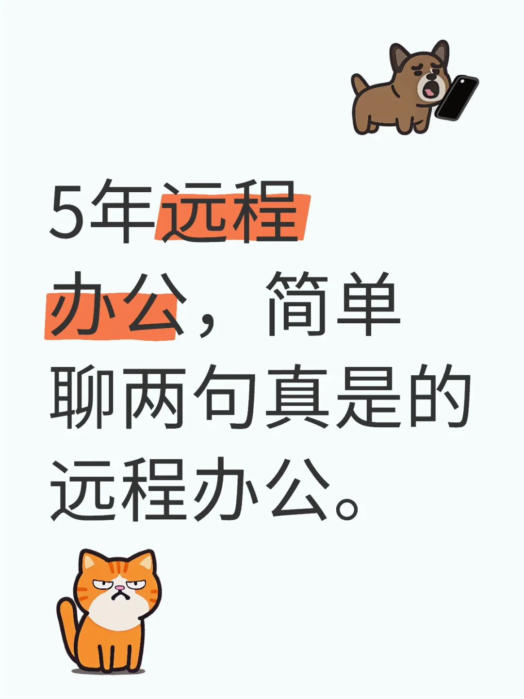 5年远程办公真实记录