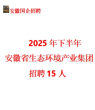 2025下半年安徽省生态环境产业集团招聘15人