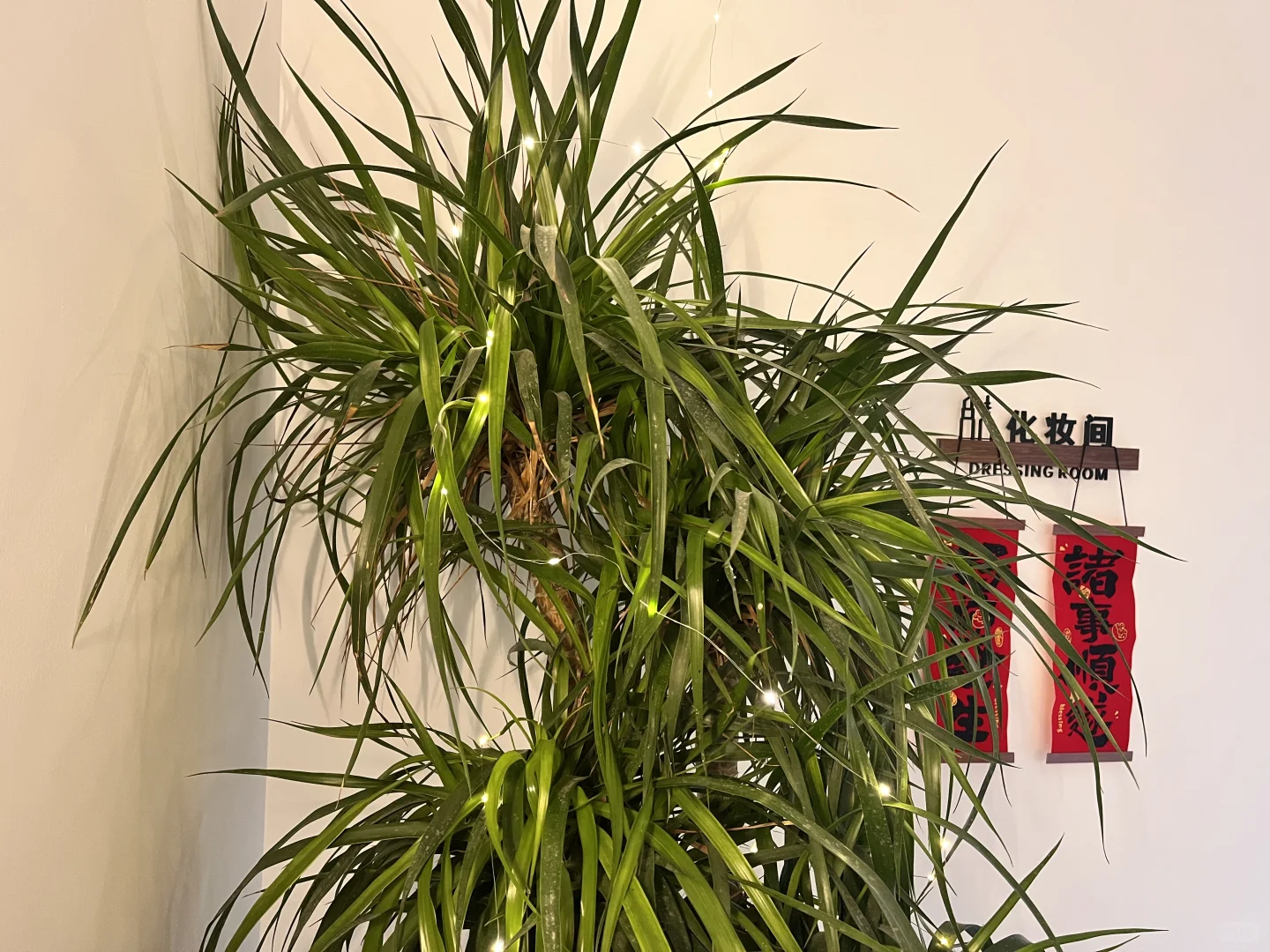 美容师看过来！高薪急聘，包培训