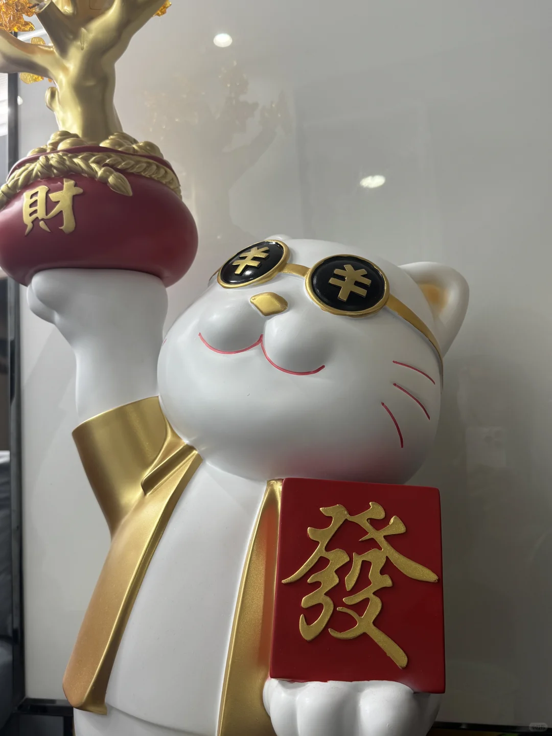 招聘煮波！