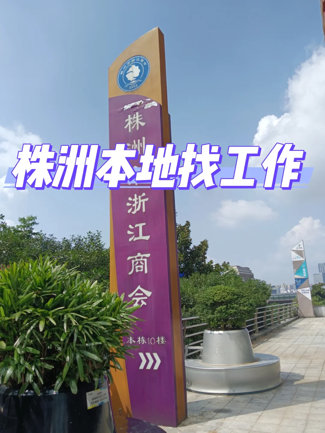 真的没人找工作了吗？？！