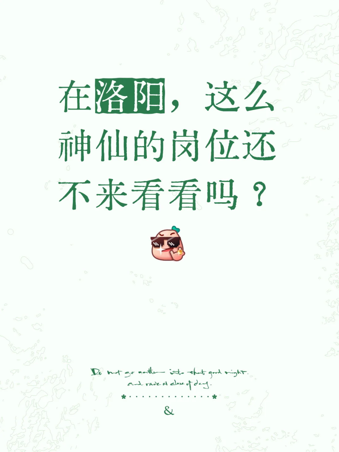 在洛阳，这么神仙的岗位还不来看看吗？