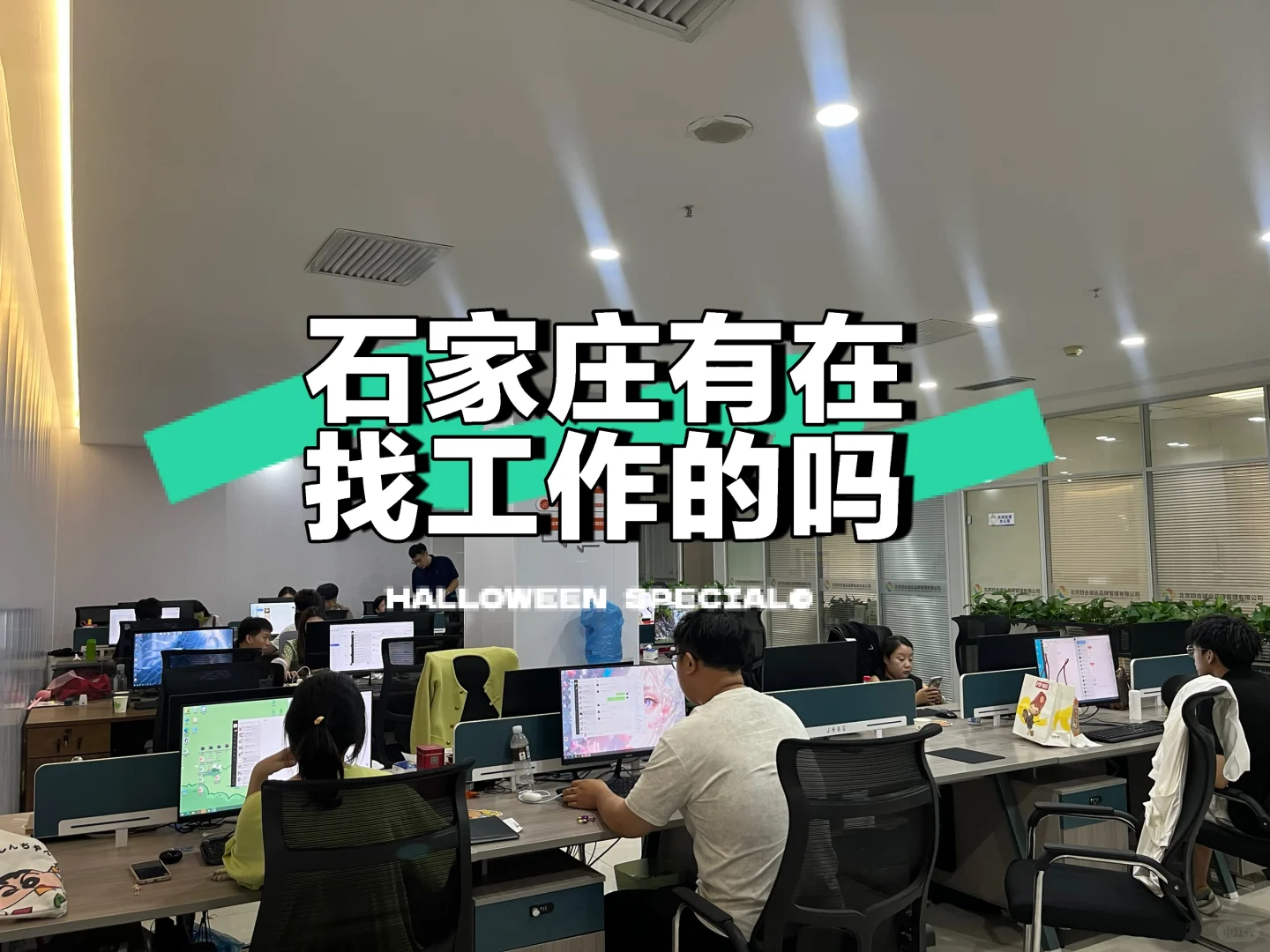石家庄的公司终于招聘啦??