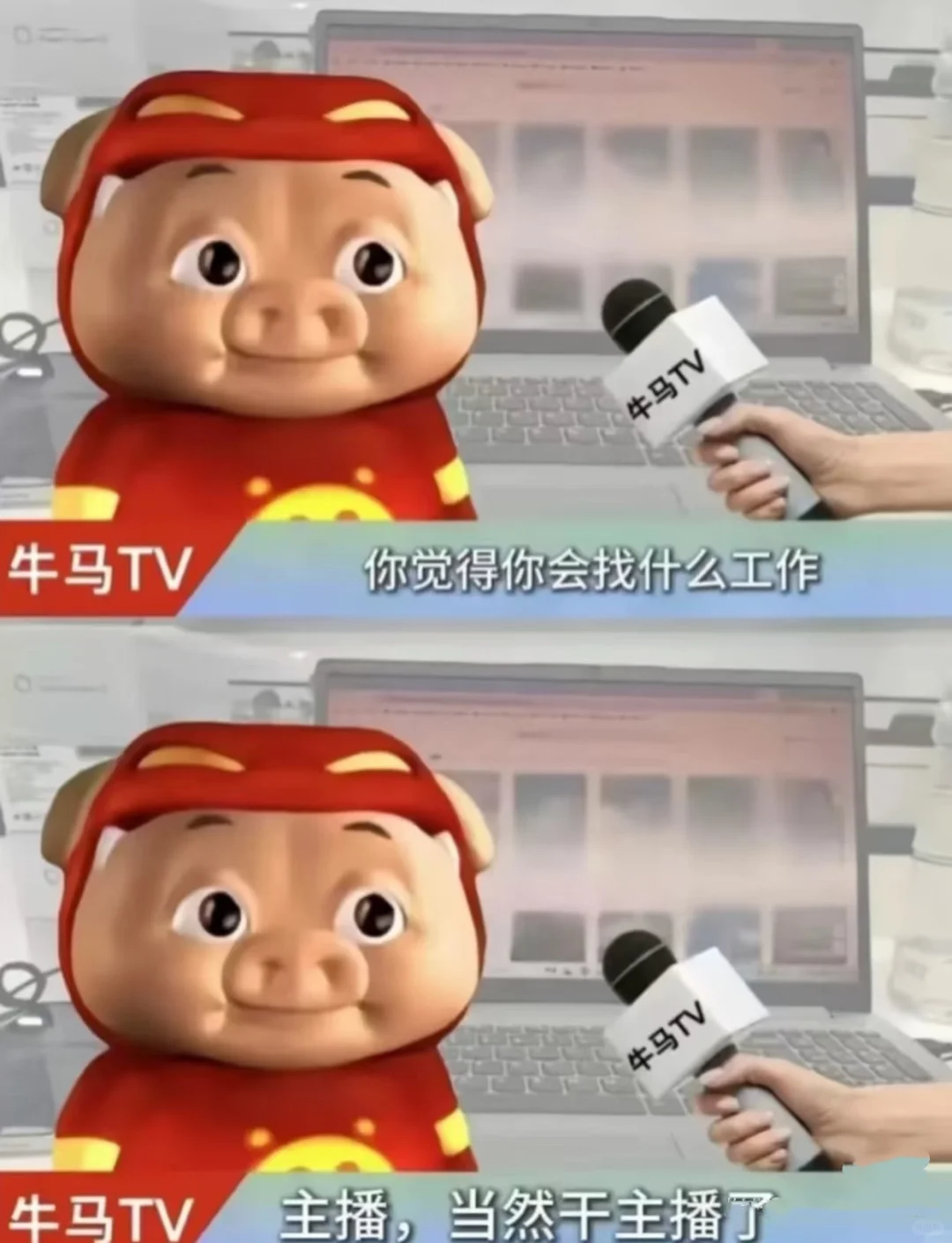 ?高薪急聘|明星IP课程主播