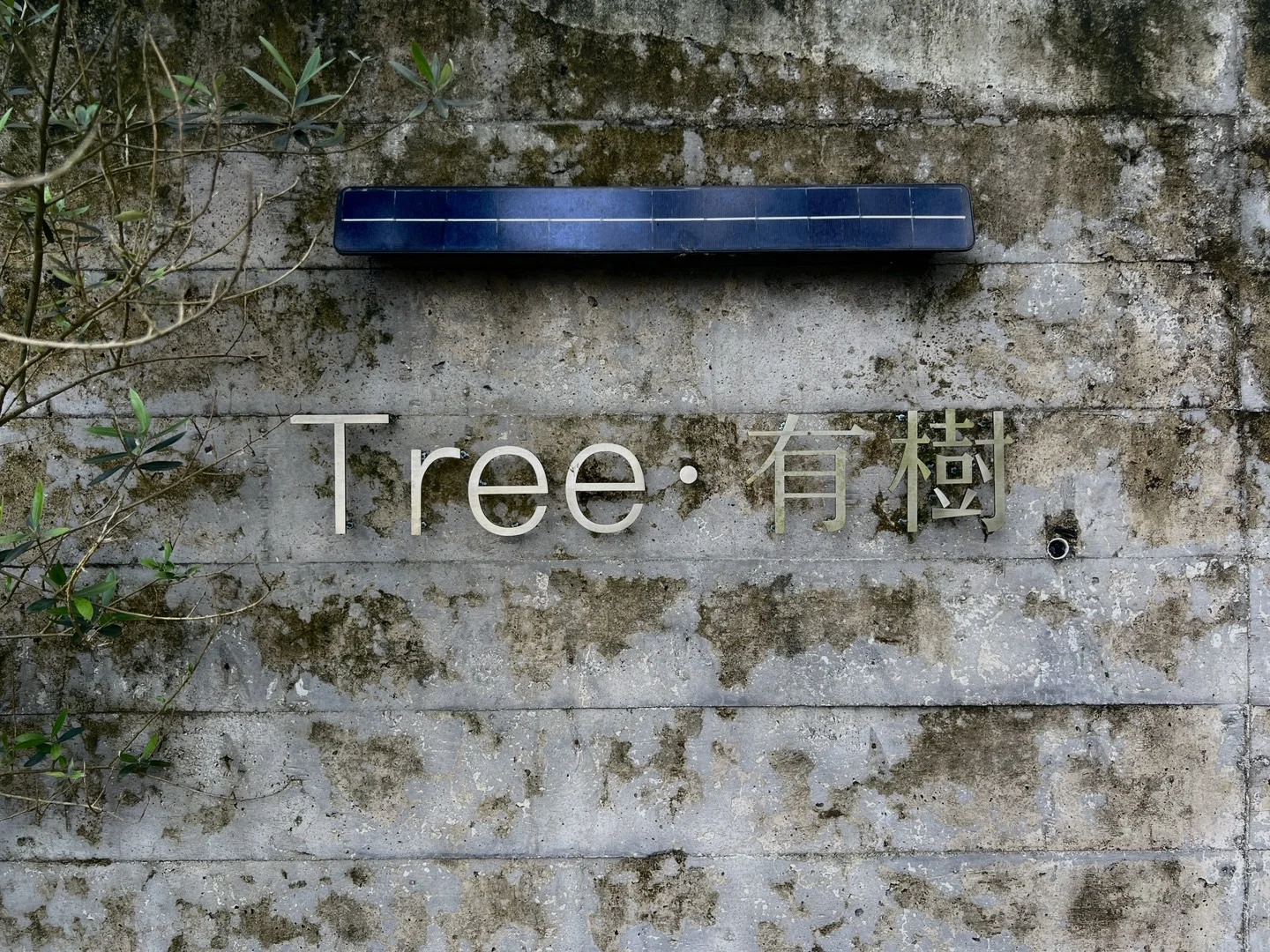 招聘民宿前台 管家