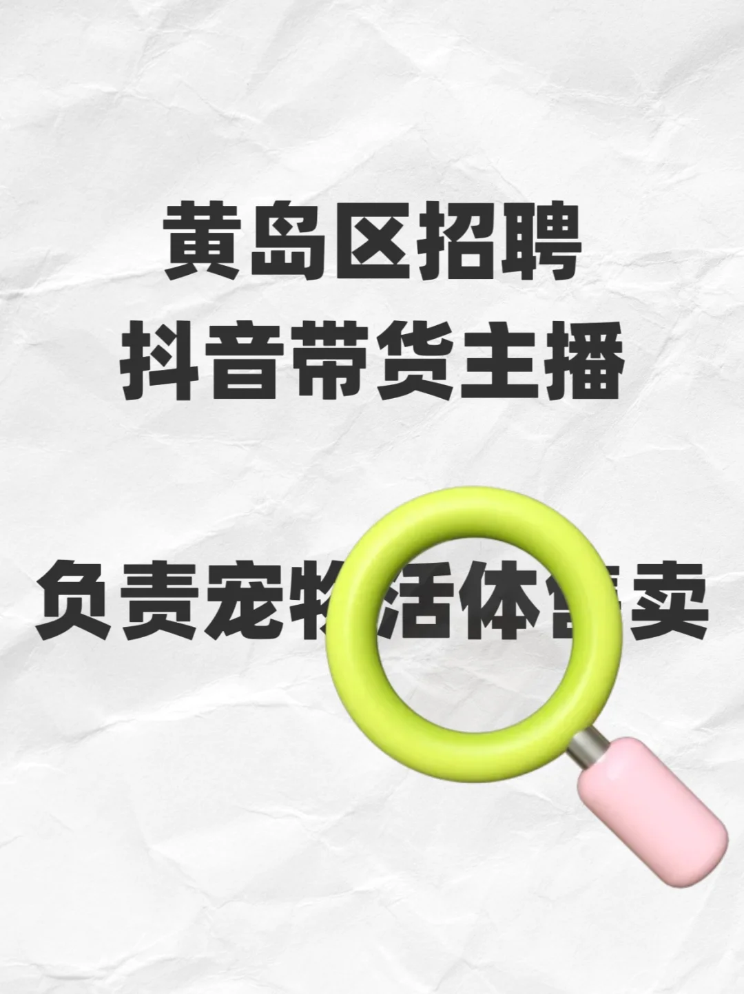 青岛招聘宠物活体带货主播!小型犬直播