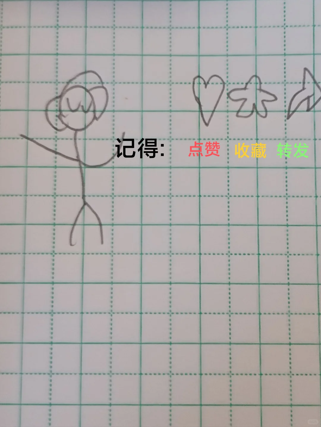 主播新人报告。