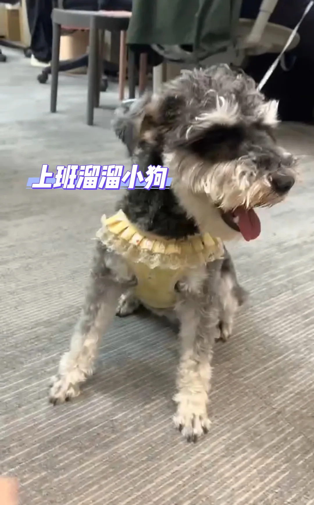 保定传媒公司招人了