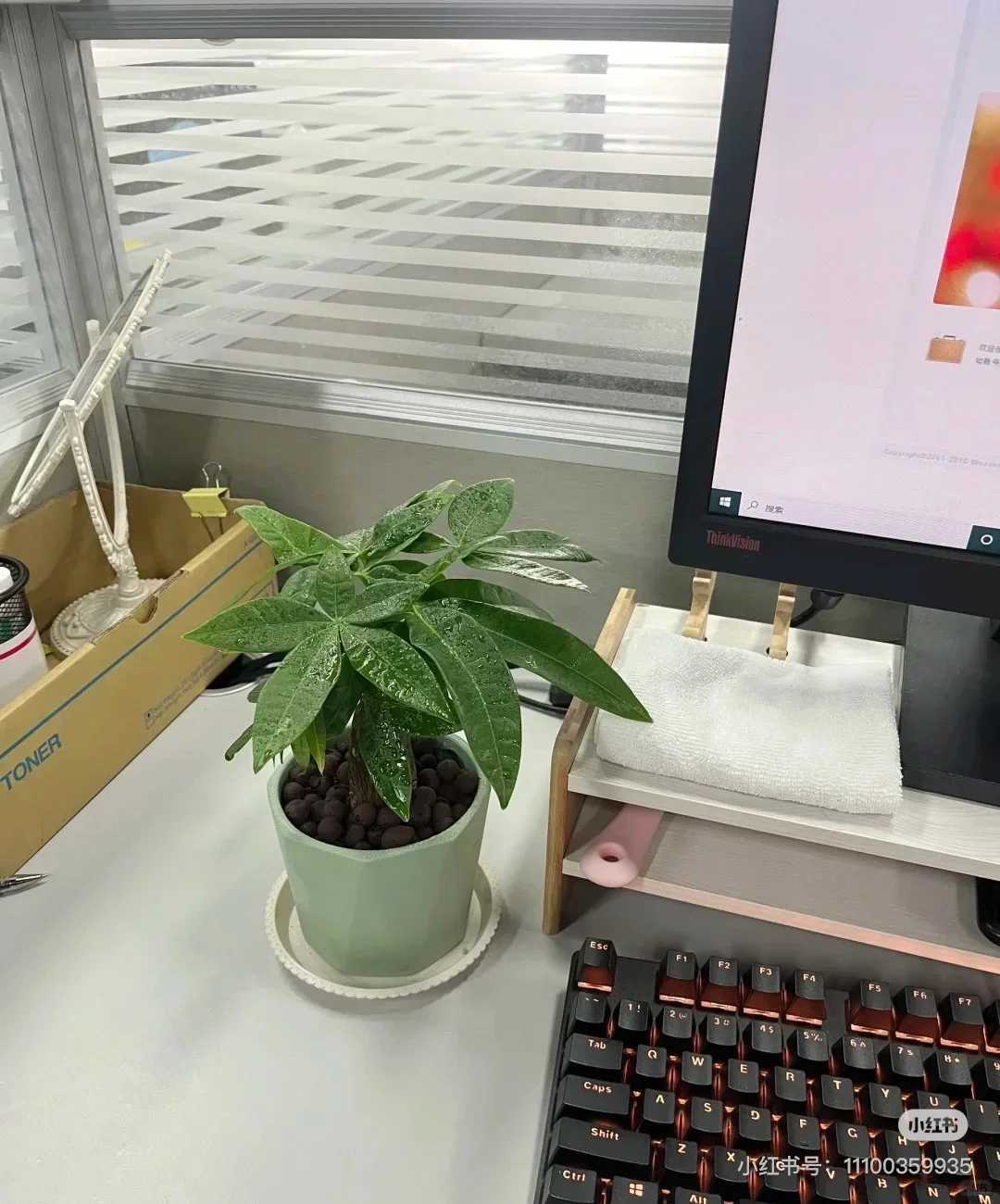 招人啦！招人啦