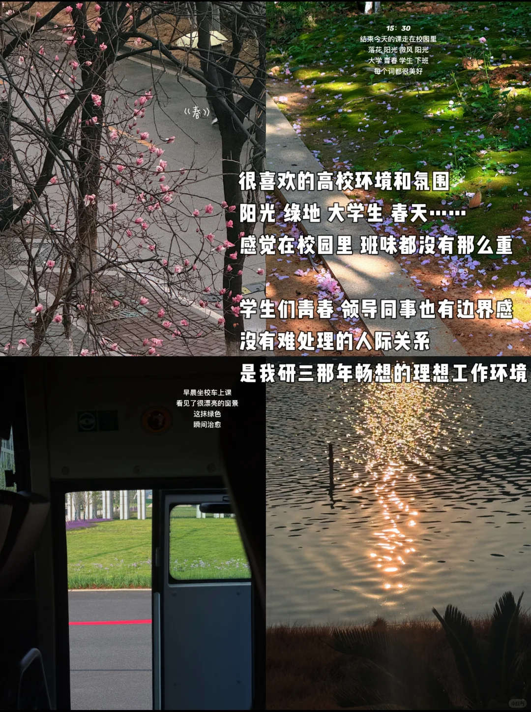 得暑假者得天下!硕士毕业丝滑上岸高校经验