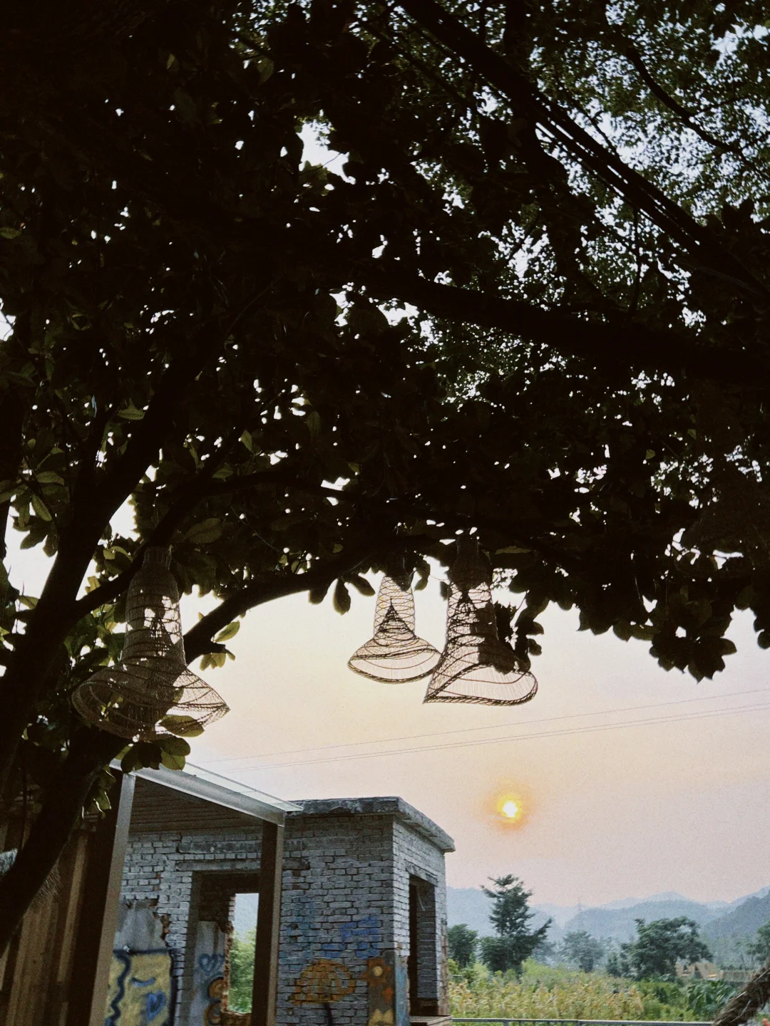 咖啡师招募｜不是大城市，但猫咪和风都很自由