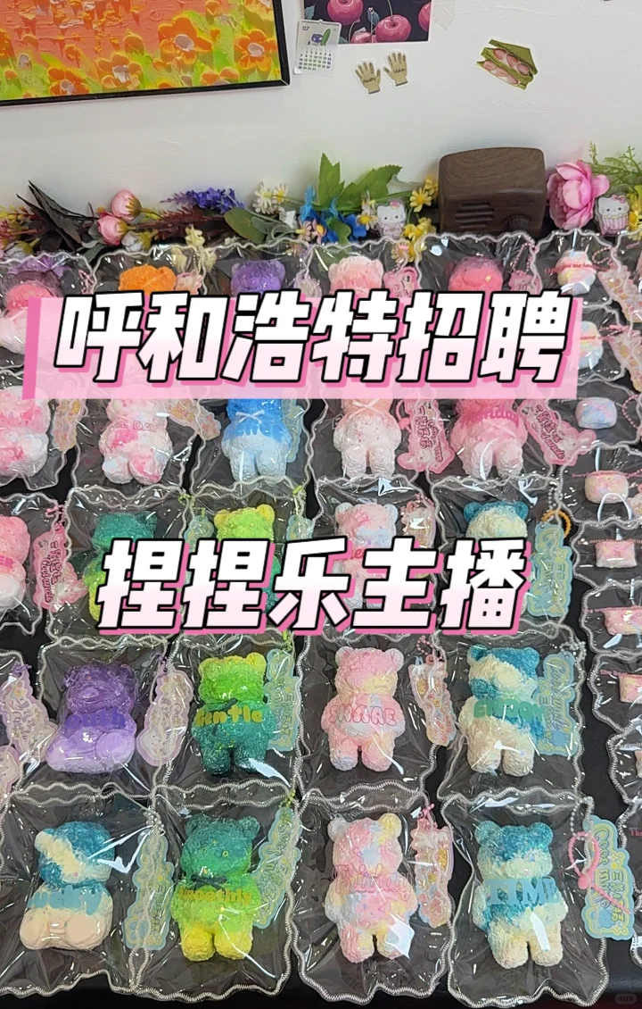 呼和浩特招主播