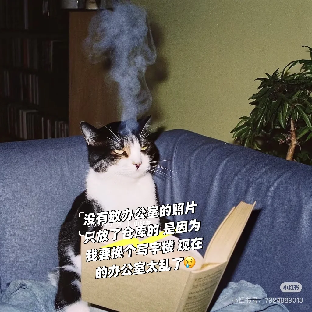 招人 亚马逊开发助理 应届生最好??