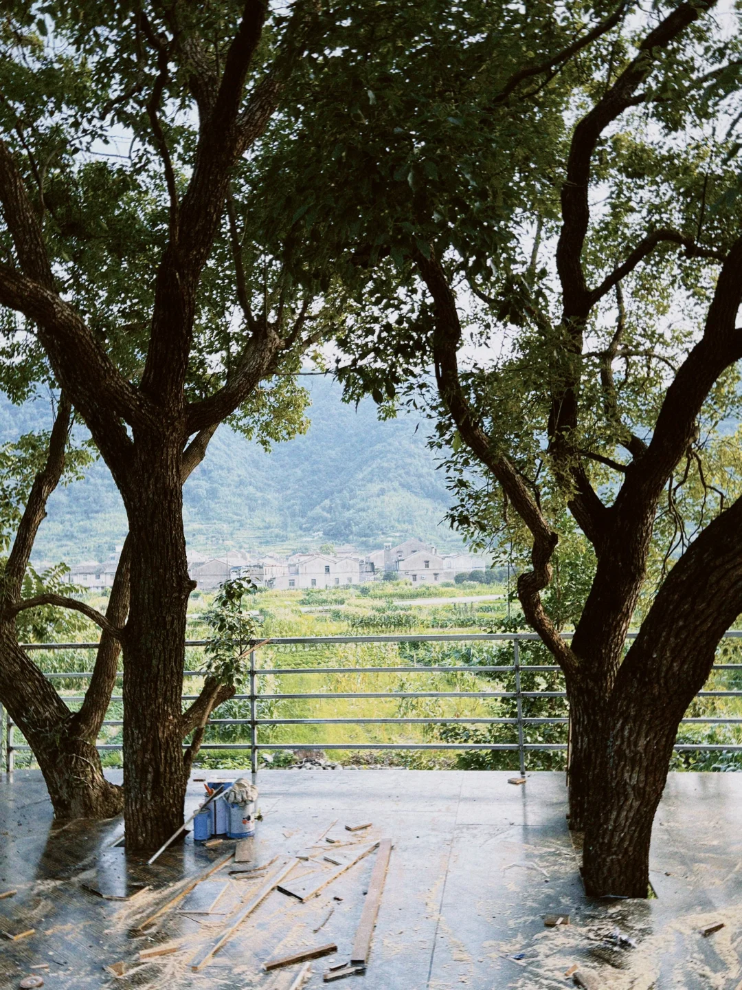 咖啡师招募｜不是大城市，但猫咪和风都很自由