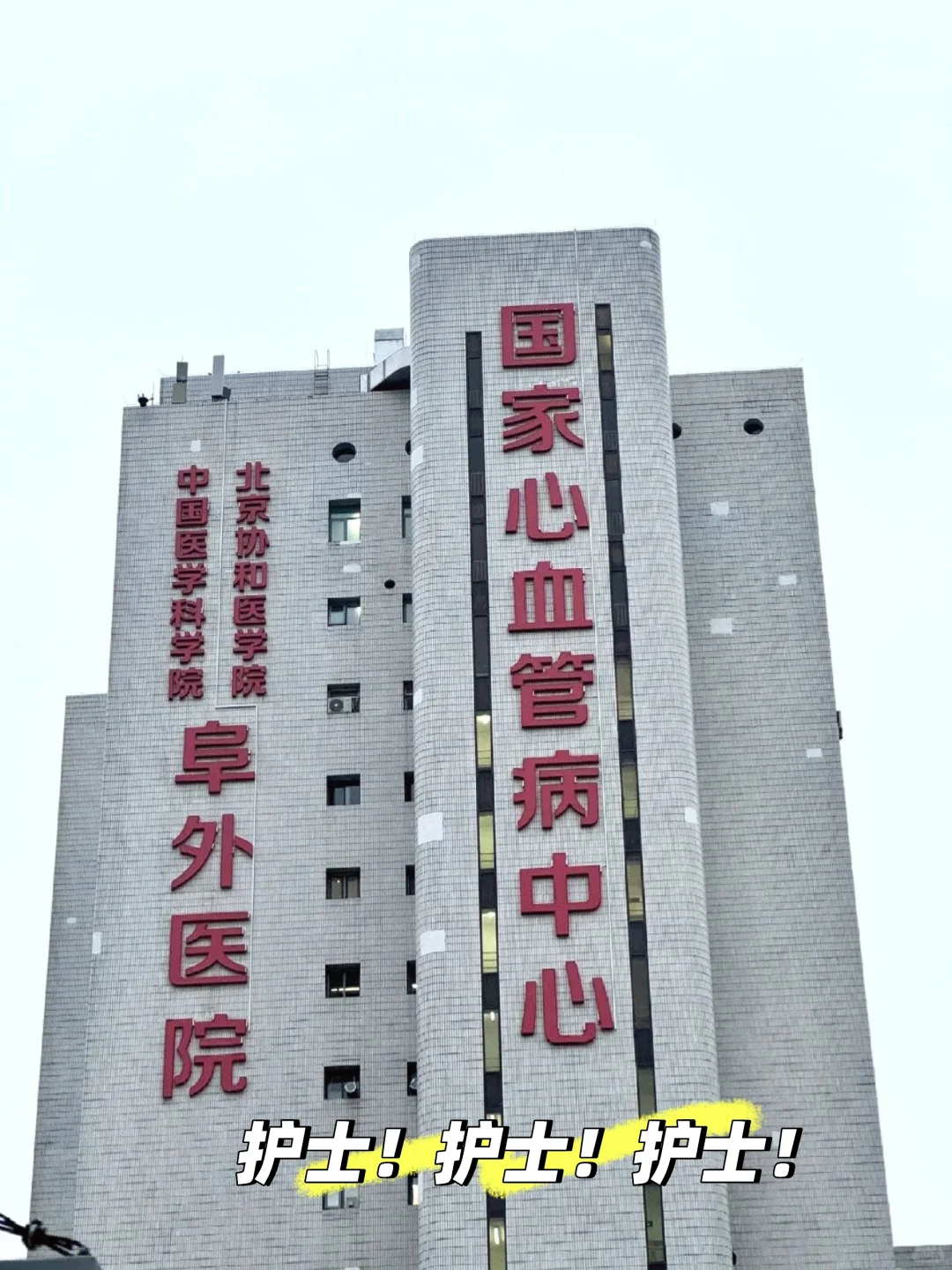 有想来阜外?工作的护士姐姐么?