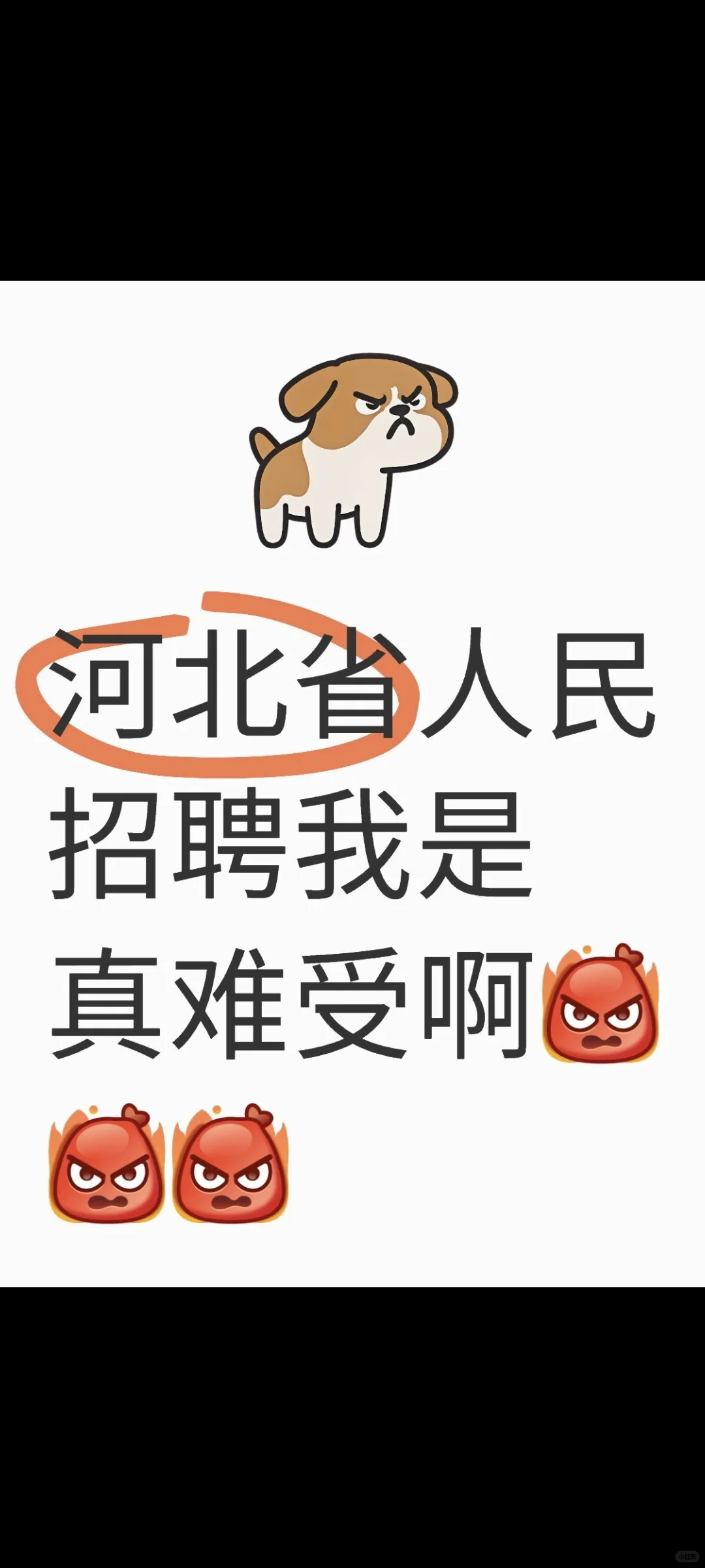 bro真考过，河北省人民医院招聘护理