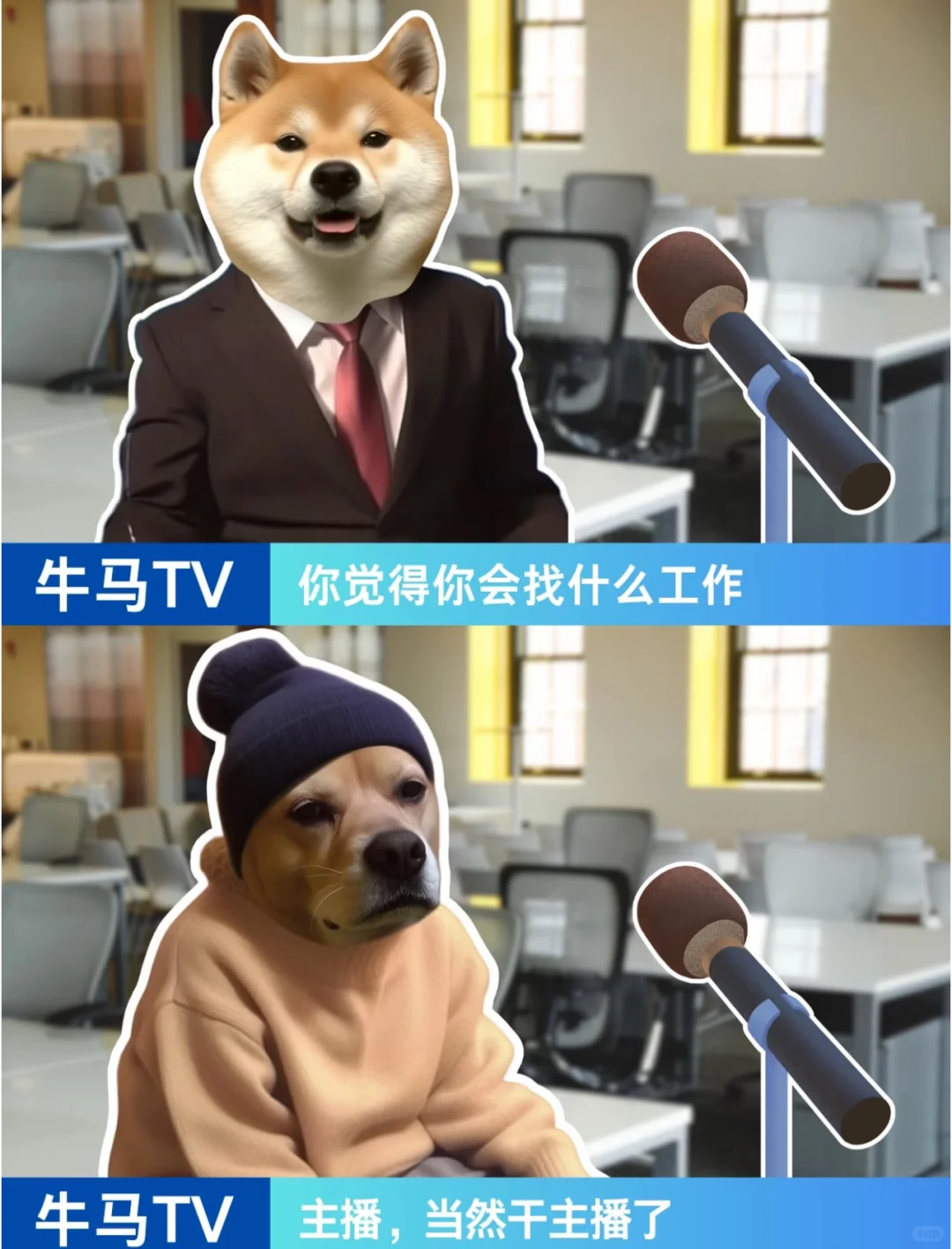 重生之我在传媒公司当牛马TV栏目