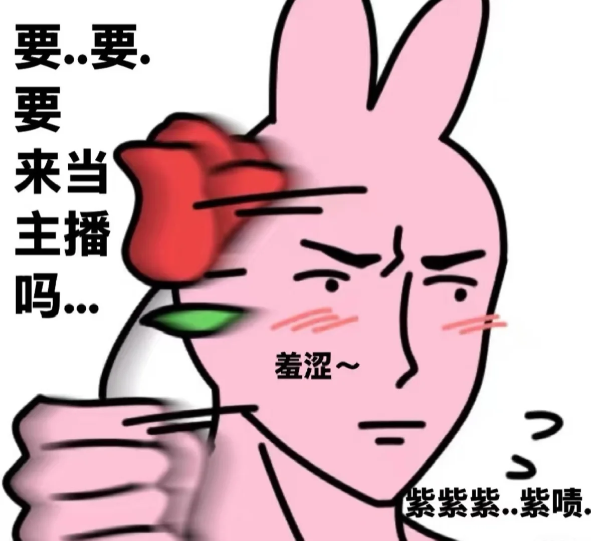 正儿八经的招主播文案