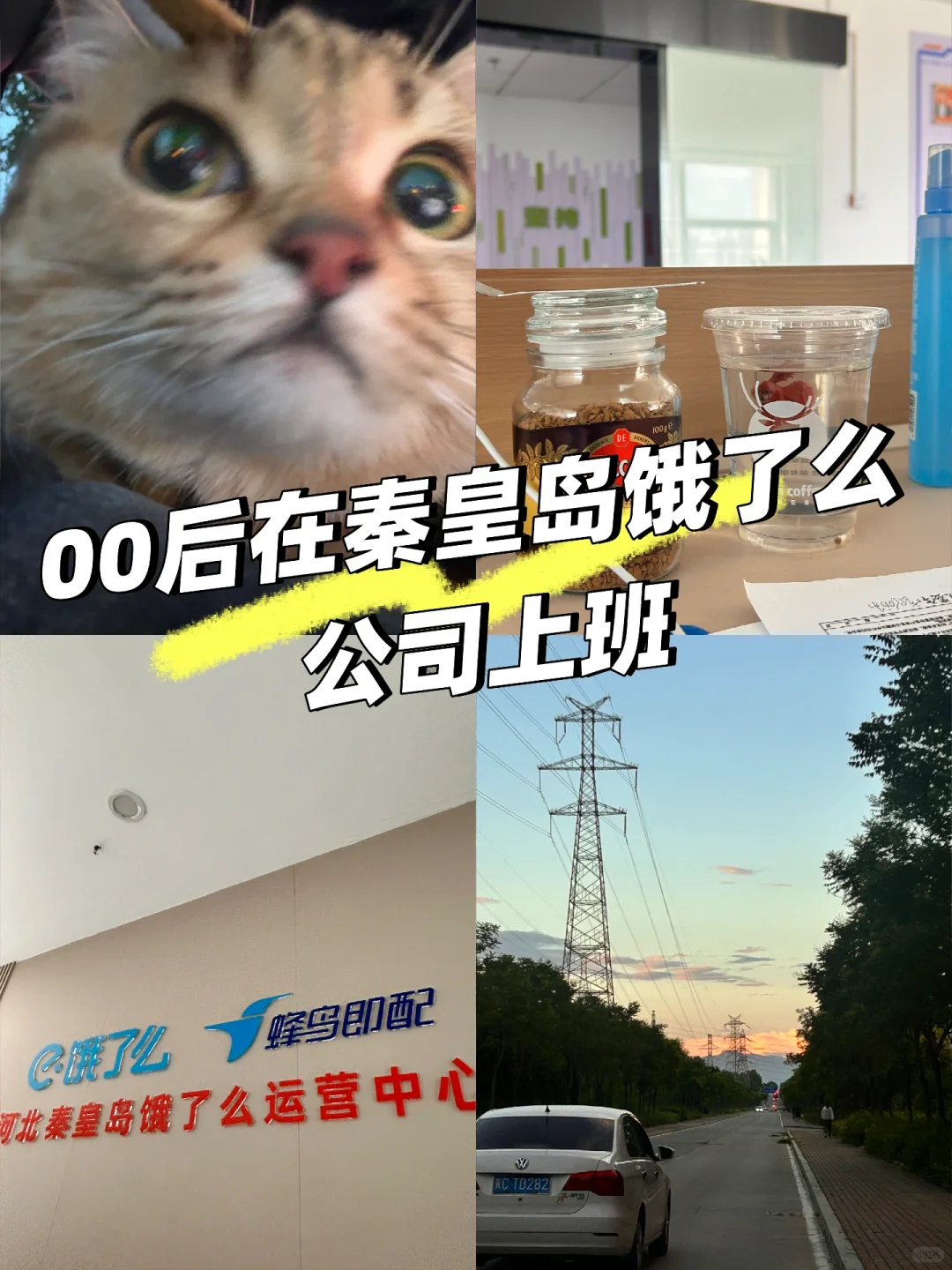 秦皇岛没好工作吗？