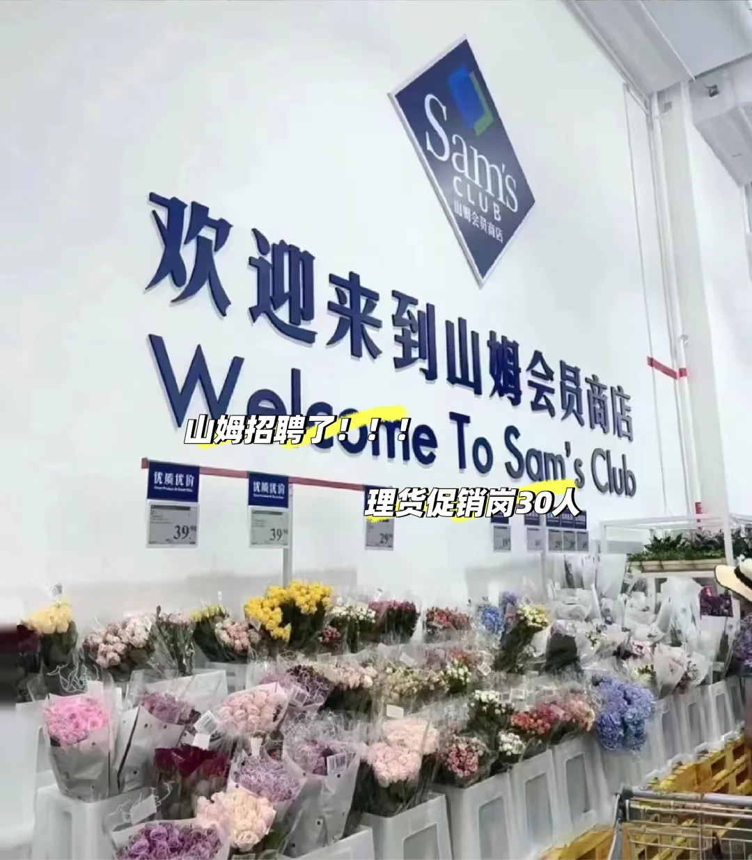 中山山姆招聘啦!!!