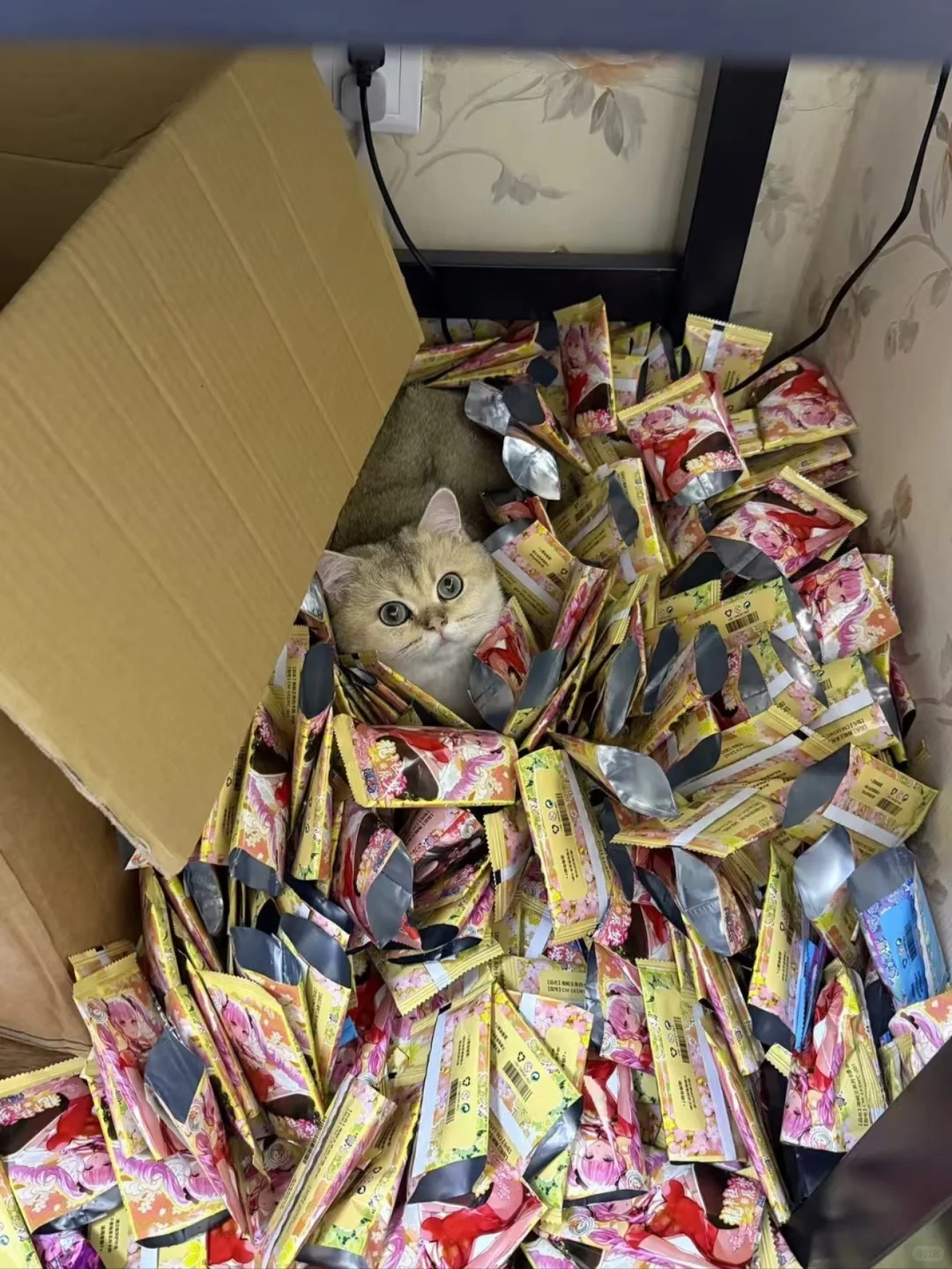 宜宾招?拆卡主播!!可接受小白