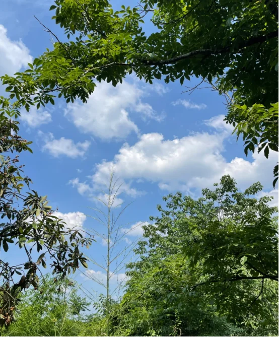 7月的国企秋招真的给足了往届生机会