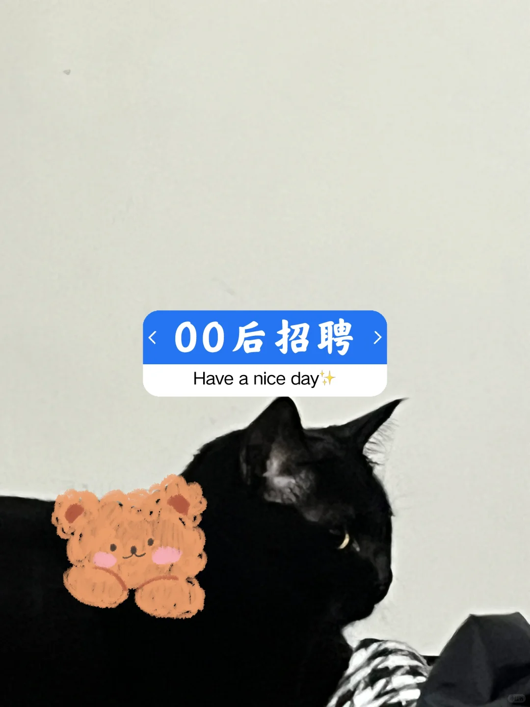 一天6小时时间自由