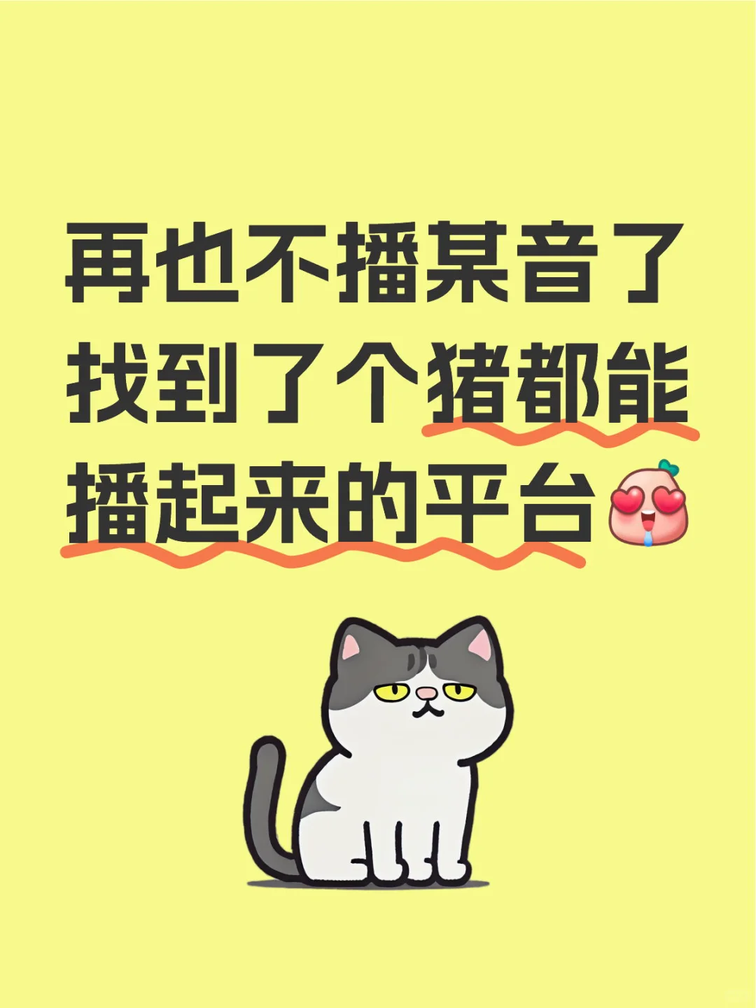 猪都能播起来的平台