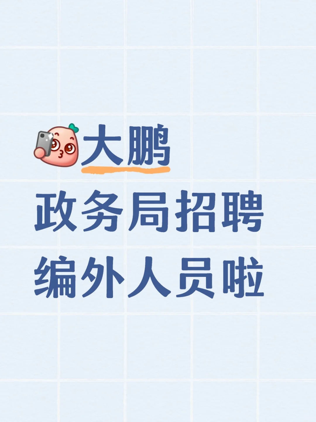 大鹏政务局招聘编外人员啦