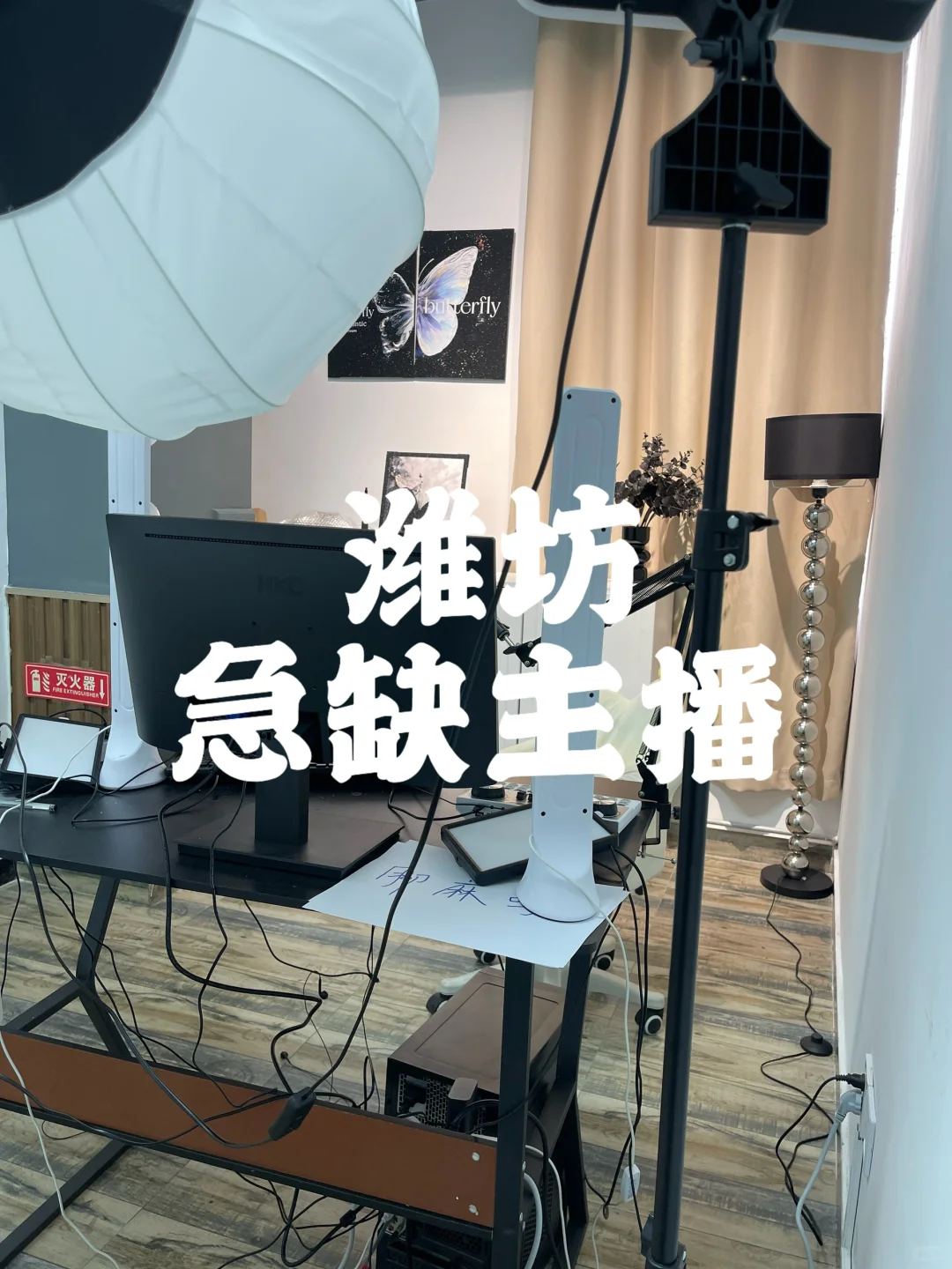潍坊❗️急召❗️每天只播4h,氛围好