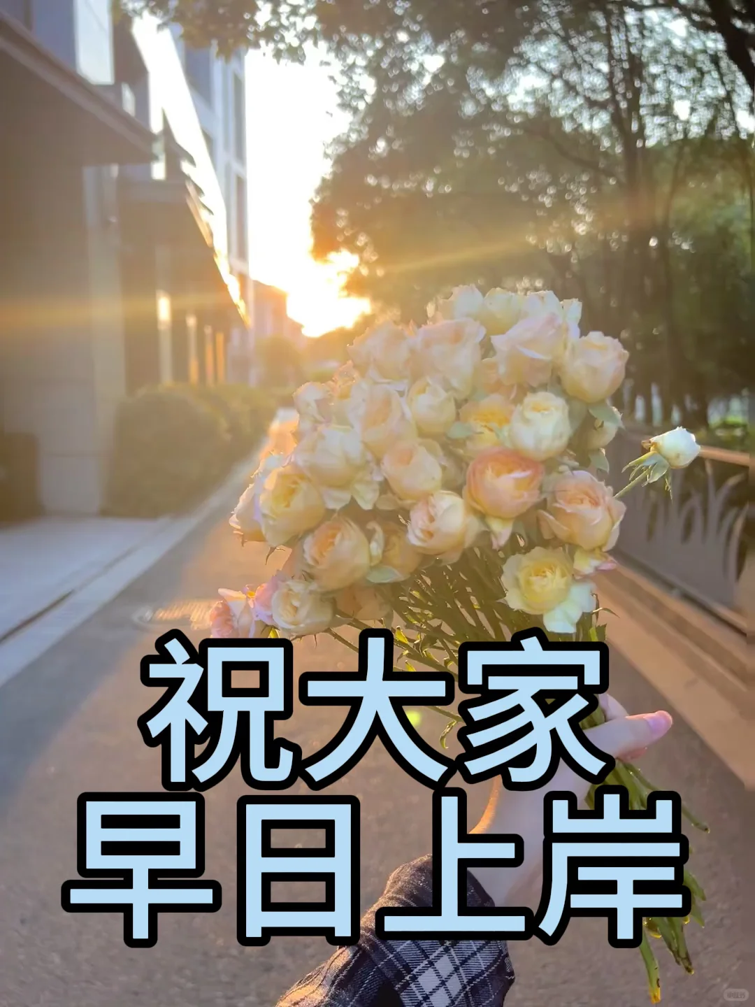 负债的特别缺的能熬夜的都建议去做主播